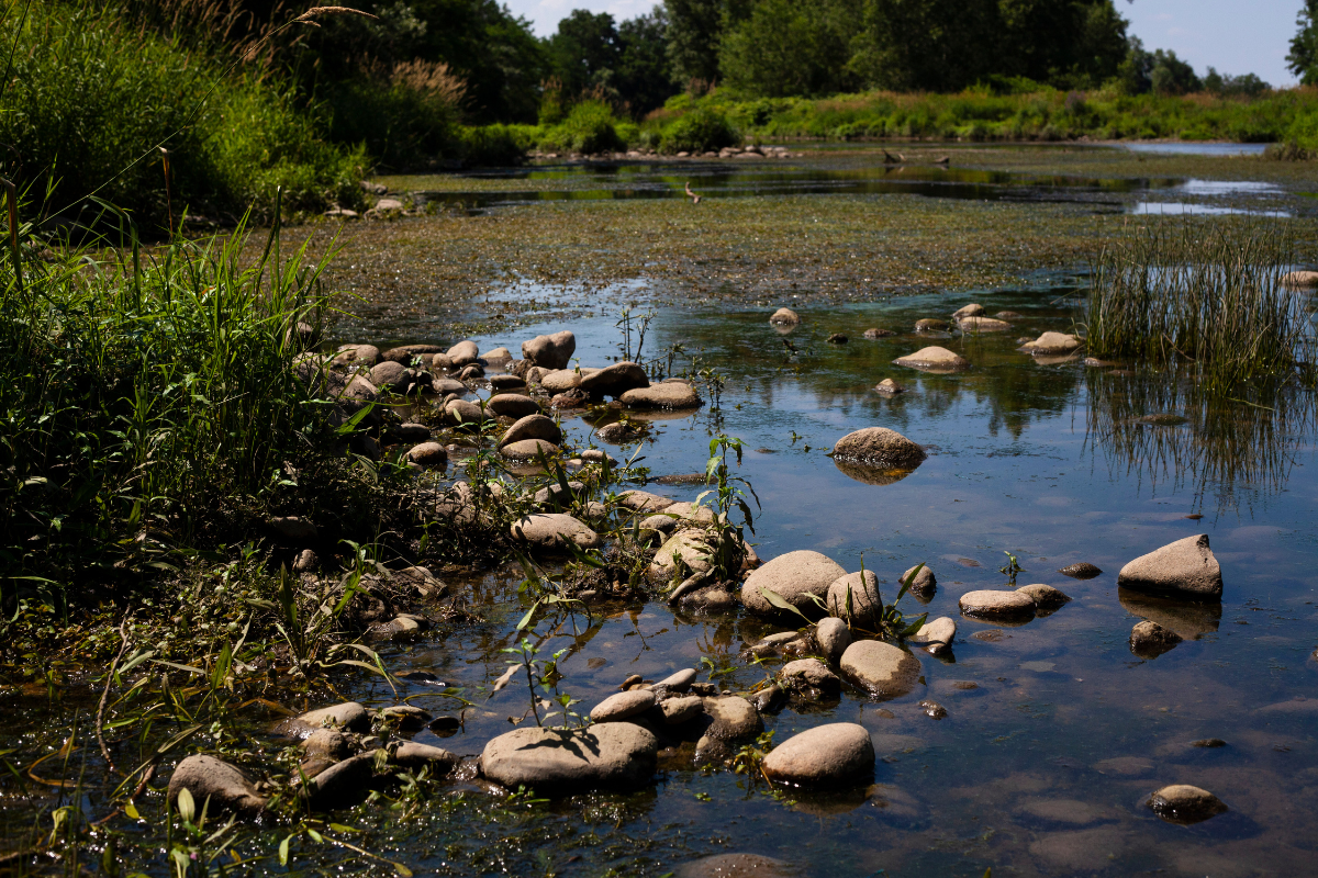 1200x800 gravieresauxoiseaux